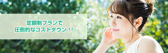 定額制プランで圧倒的なコストダウン