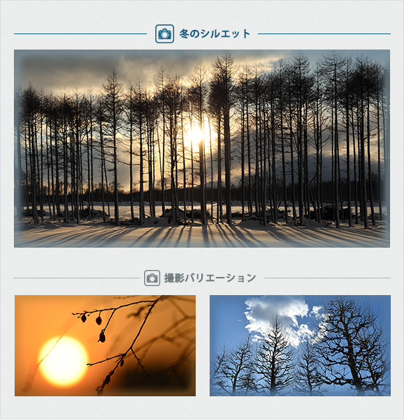 冬のシルエット～好きな写真の「撮り方」レシピ～