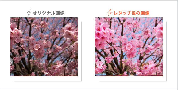 無料画像募集中