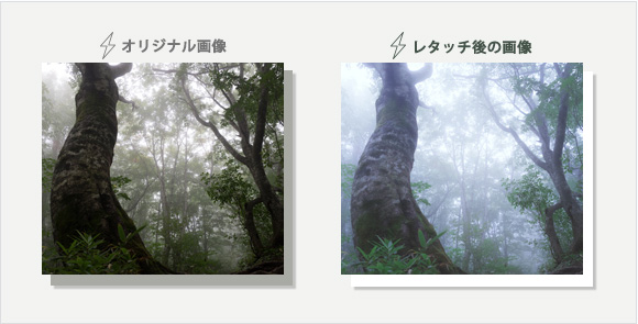 無料画像募集中